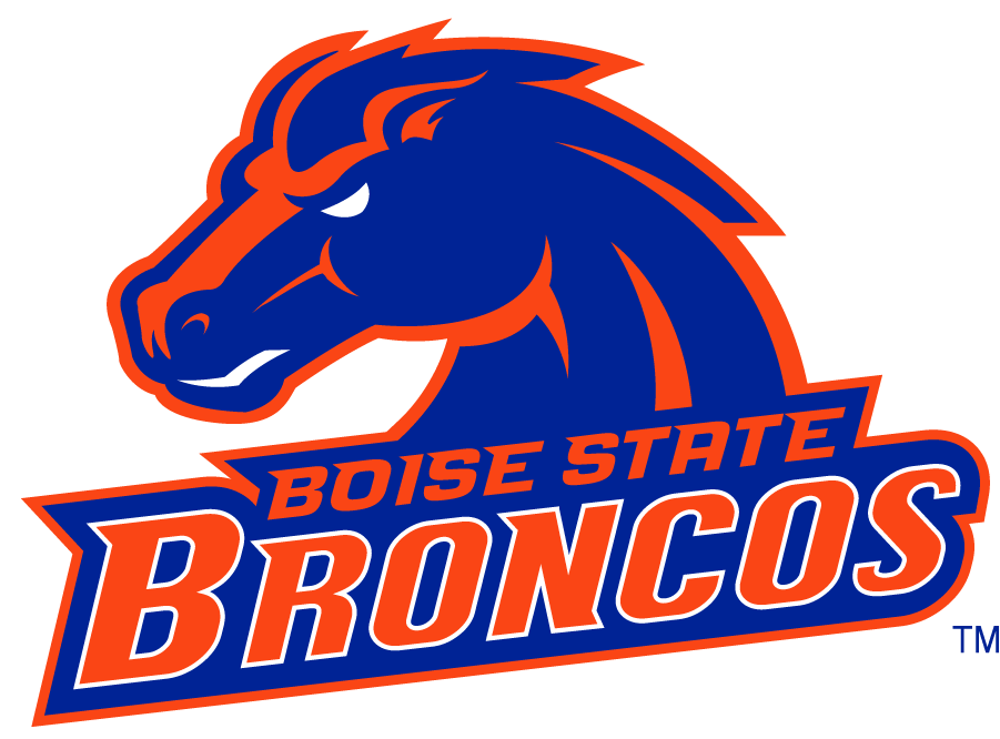 Boise State Broncos 2002-2012 Secondary Logo v26 DIY iron on transfer (heat transfer)